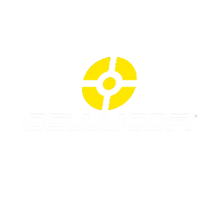 Logo 6