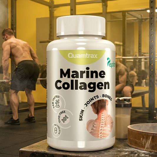 Quamtrax marrine collagen